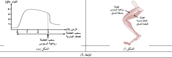 الوثيقة 3