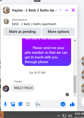 Haylee.png