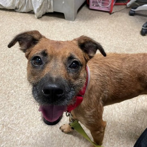 G1 MO6CbQAAEl9 ?format=jpg.jpg