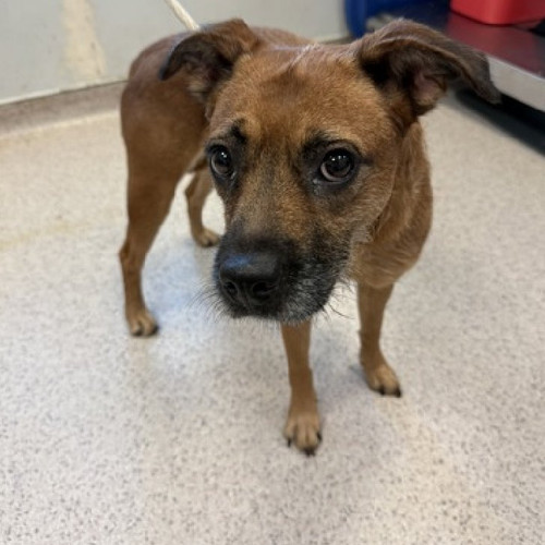 G1 MY0OaIAAc4h ?format=jpg.jpg