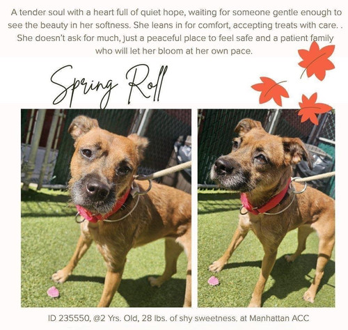 G1 CiuQaYAApi7v?format=jpg.jpg