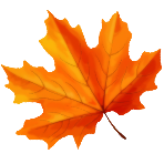 autumn leaf