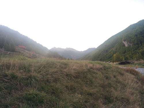 IMG 20251011 075053.jpg