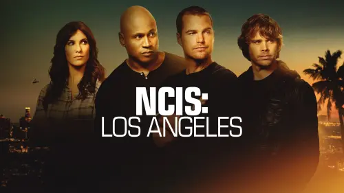 ncis2.webp