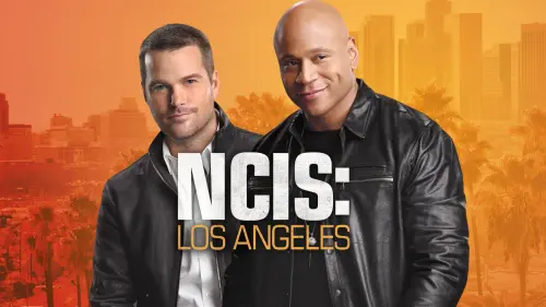 ncis4.webp