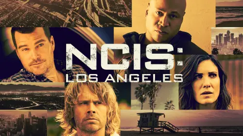 ncis1.webp