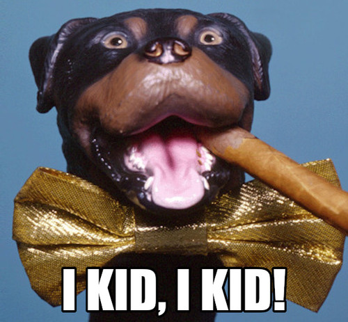 triumphdogikid.jpg