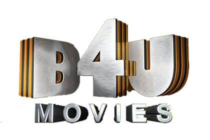 B4U MOVIES 2014.png