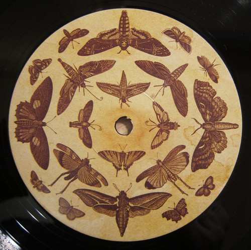 Vincent Markowski – The Madness Of Moths 2.jpg