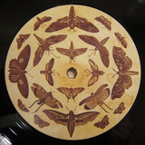 Vincent Markowski – The Madness Of Moths 2