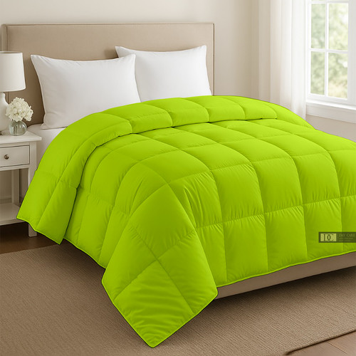 Parrot Green (2).jpg