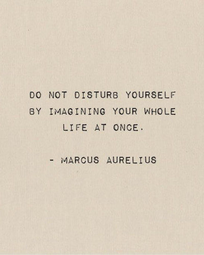 tumblr c431b6ee43e28083f295b58ccaf74ea1 b28f2959 1280.jpg