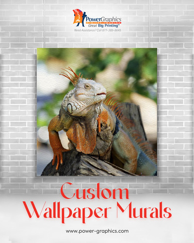 Transform Your Space With Custom Murals.jpg