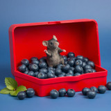 www.naked-ai.art - A red box of blue berries with a rat dancing inside
