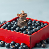www.naked-ai.art - A red box of blue berries with a rat dancing inside