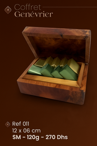 ChatGPT Image 11 oct. 2025, 03 16 36.png