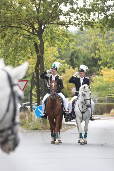 Foto vom Jungschützenfest: 307.webp