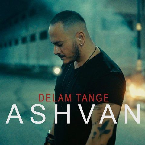 دانلود آهنگ اشوان به نام دلم تنگه