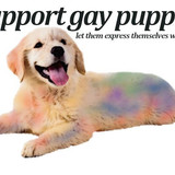Support Gay Puppies!