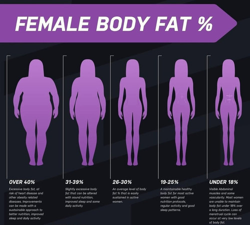 body fat women.jpg