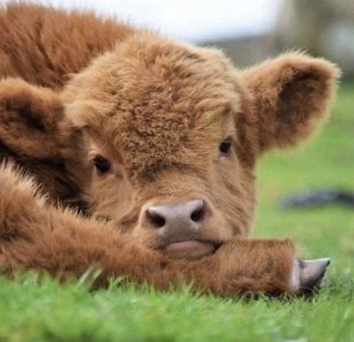 Screenshot 2025 10 11 at 8.28.35 PM.png