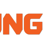 Kung Fu 29 official logo