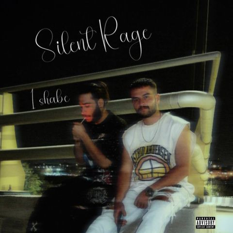 دانلود آهنگ سایلنت ریج به نام یک شبه