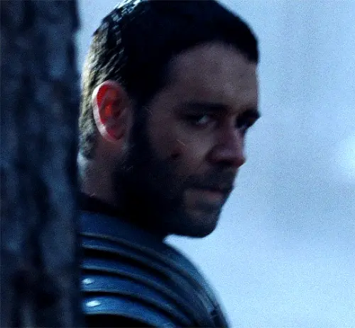 Maximus Decimus Meridius .webp