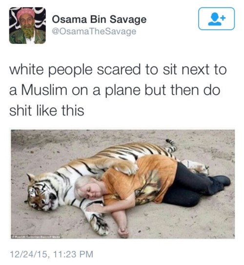 Funny Picture.jpg