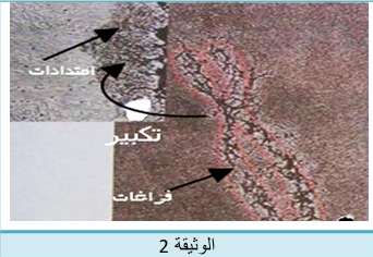 الوثيقة 2