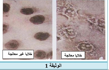 screenshot 1760280549537.png