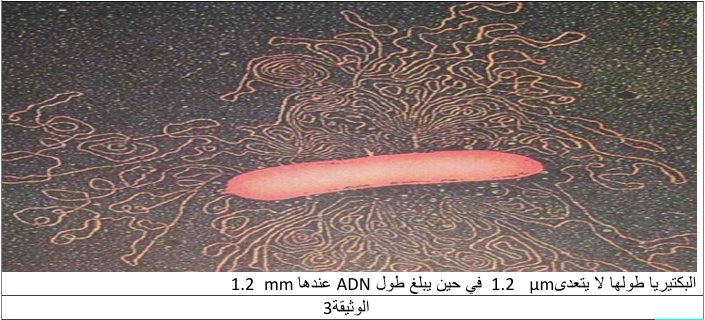 الوثيقة 2