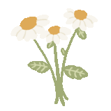 cc8cc2c21006072bfdd9976fb98dd1b2