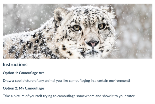 Screenshot 2025 09 29 at 11.24.42 PM.png