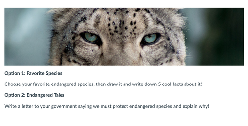 Screenshot 2025 09 29 at 11.52.56 PM.png