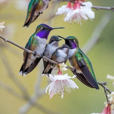 ed4bdb5813f673c01c5ab73fd1047727