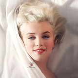 𝙼𝚊𝚛𝚒𝚕𝚢𝚗 𝙼𝚘𝚗𝚛𝚘𝚎