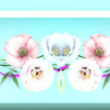 80b2f1c39eebabb50e635a4ddd8420be