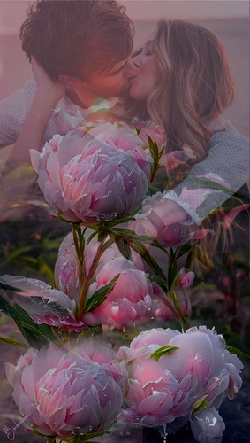 Love romantic 322.jpg