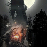 Mulheres e lobos (4)