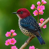 24df04e7a214ed4d2a66b2b9a810934d