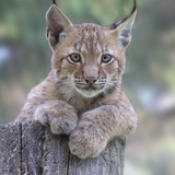 36109acb87756214eb3a9ccb488a308d