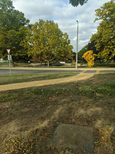 IMG 20251012 095240.jpg