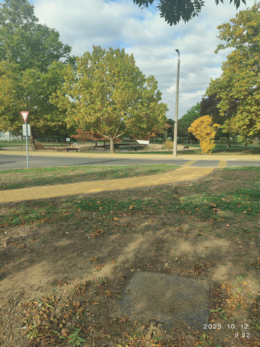 IMG 20251012 095232.jpg
