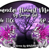 lavender harvest moon