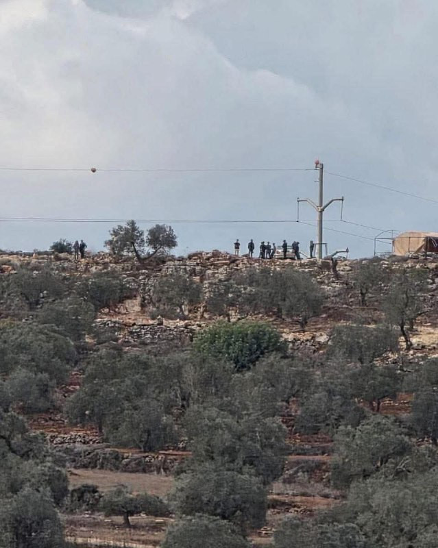 مصادر محلية: مستوطنون يتجمّعون على جبل قُمّاص في بلدة بيتا جنوب نابلس، بالتزامن مع توجه الأهالي إلى المنطقة لبدء موسم قطف الزيتون....