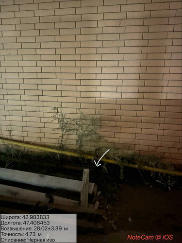 photo 13 2025 10 13 05 07 39.jpg