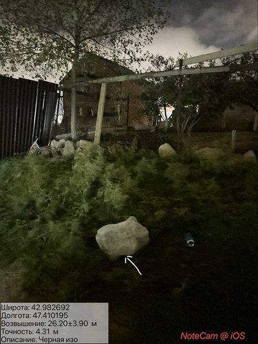 photo 11 2025 10 13 05 07 39.jpg