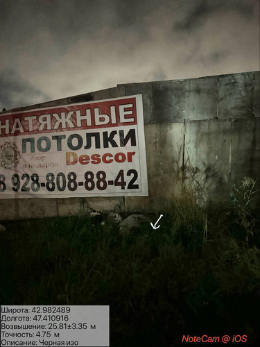 photo 10 2025 10 13 05 07 39.jpg