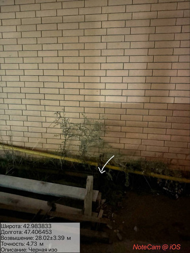 photo 13 2025 10 13 05 07 39.jpg